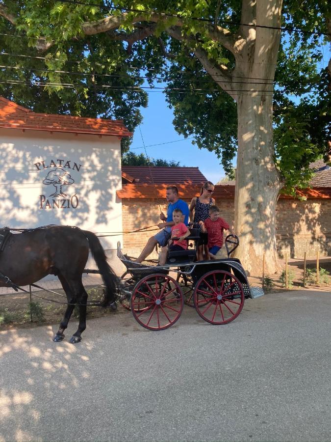 Bed and Breakfast Platan Panzio Csongrád Zewnętrze zdjęcie