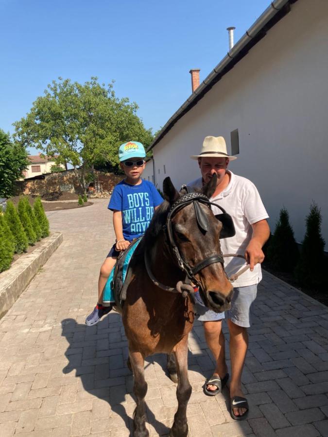 Bed and Breakfast Platan Panzio Csongrád Zewnętrze zdjęcie