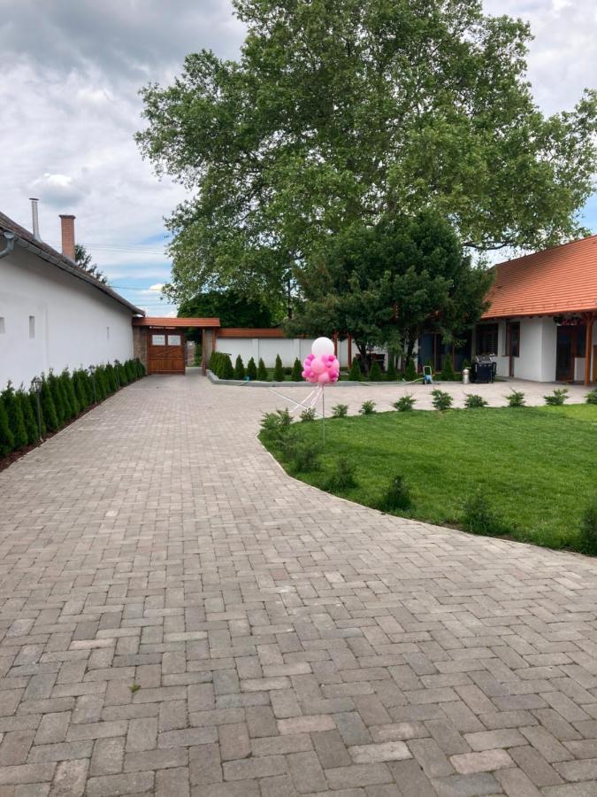 Bed and Breakfast Platan Panzio Csongrád Zewnętrze zdjęcie