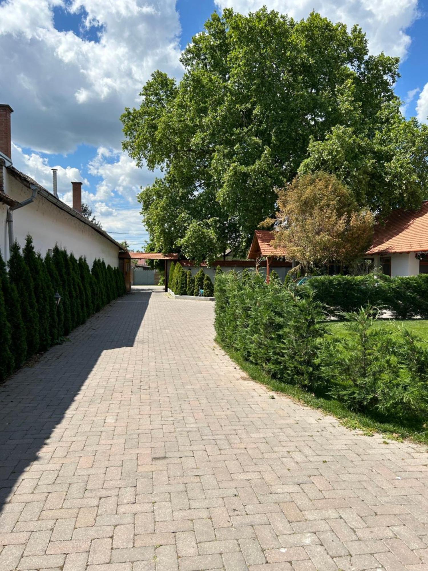 Bed and Breakfast Platan Panzio Csongrád Zewnętrze zdjęcie